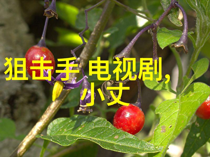 郭敬明取关少年之名清空相关节目微博疑闹掰五行八卦在社会中悄然传开