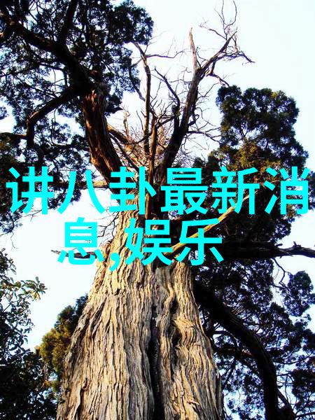 飘花电影网-探秘飘花电影网解锁影视盛宴的秘密花园