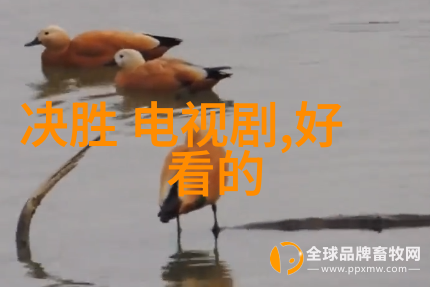 婚后试爱甜蜜探索与情感修行