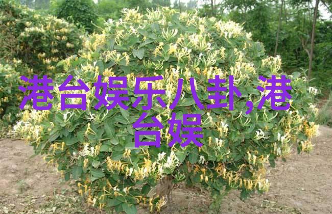 台湾中文娱乐 - 风华录探索台湾娱乐圈的璀璨传奇