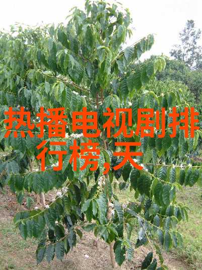 娱乐圈小说 - 明星背后的故事揭秘娱乐圈的真实面纱