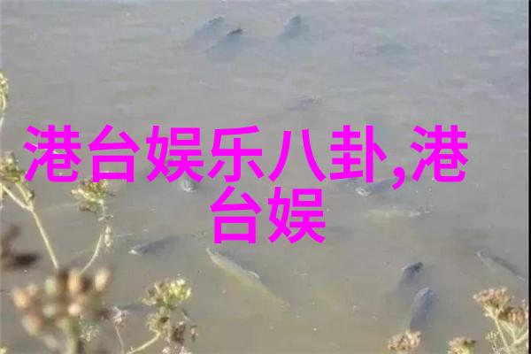 如何成为一名真正的时尚先生能否给出一些实用的建议