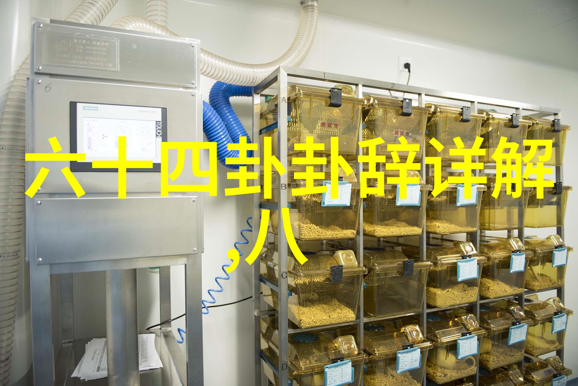 命名智慧揭秘名字测算八字的神秘艺术