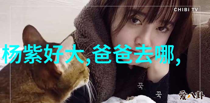春日绘卷探索精美图片壁纸的唯美之境
