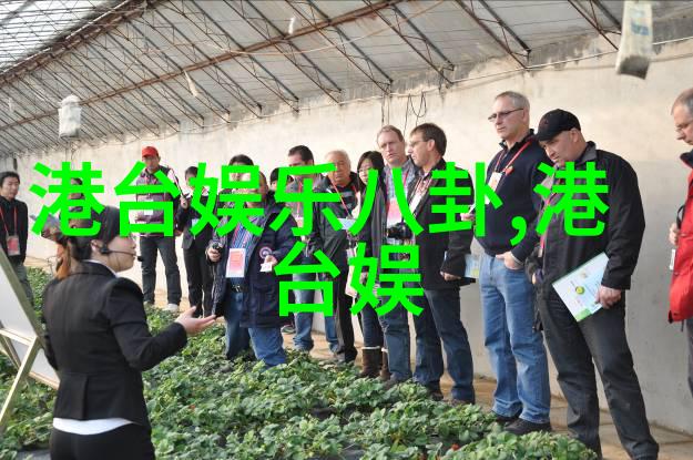 综艺盛宴星光闪耀笑料不断的娱乐世界