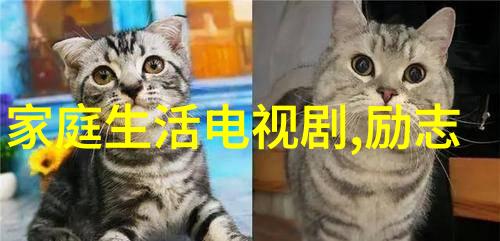 伏羲八卦图解蔡琳高梓淇大婚神秘符号韩中明星夫妇完美出炉