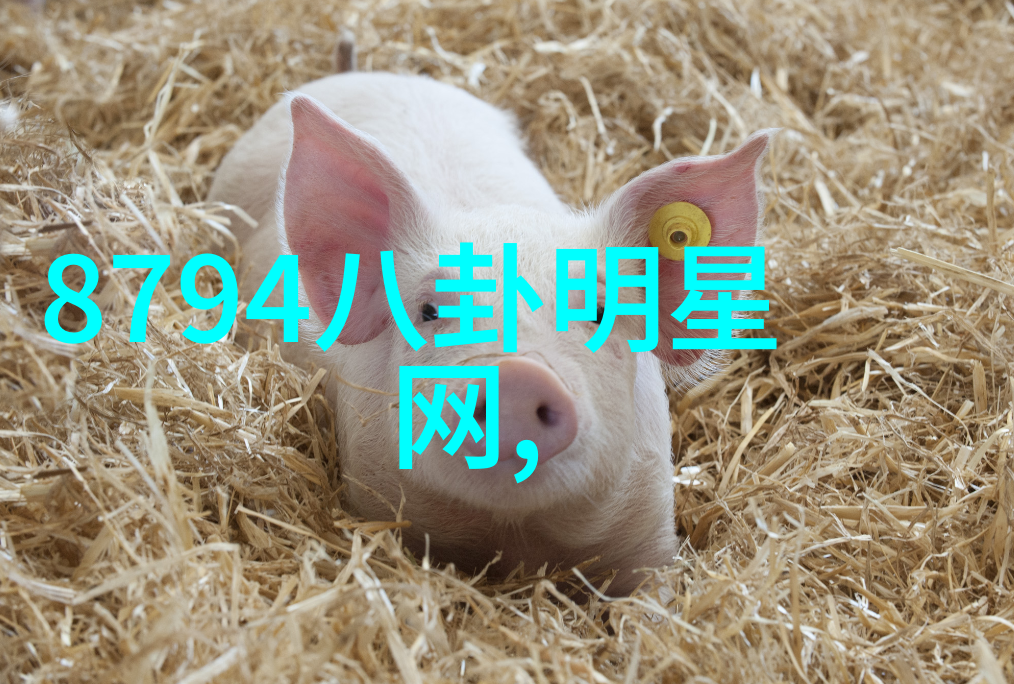 你贩剑我发癫联手整顿娱乐圈-联盟之光揭开娱乐界背后的真相