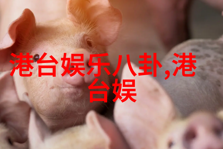 邢菲覆流年飞狐外传双剧同日播出社会大舞台上电视剧新篇章开启艺术家们勇敢挑战全新形象展现