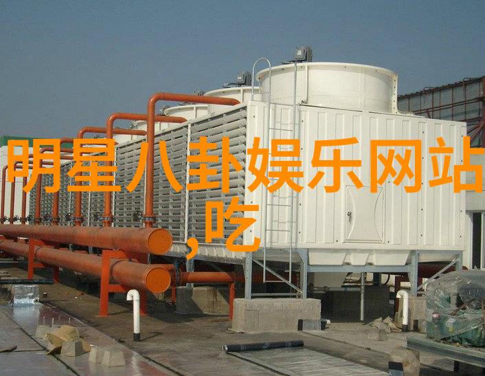 视觉盛宴深宫谍影的摄像技术与色彩调性探究