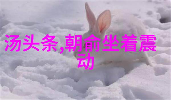 小镇大法官电视剧热播引爆15万人次关注韩网友再次终止雪滴花直播一天