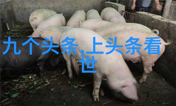 奇幻求生-龙崽宝宝的荒岛挑战逆袭之旅