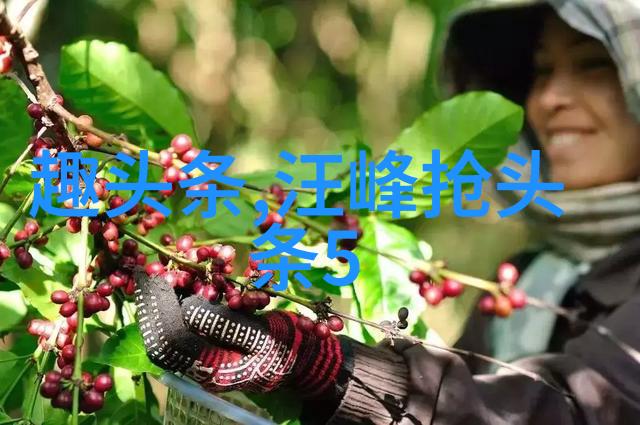 青春娱乐网-激情飞扬的青春时光