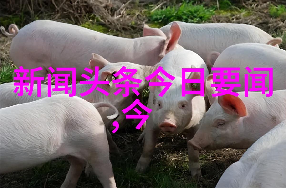 重生之门是不是由魅影视频改编的神秘小说原著里隐藏着怎样的惊天大秘密等待我们揭开它的迷雾