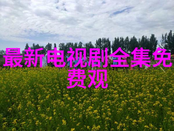 从粉丝到批评家重构对网红态度的正确理解