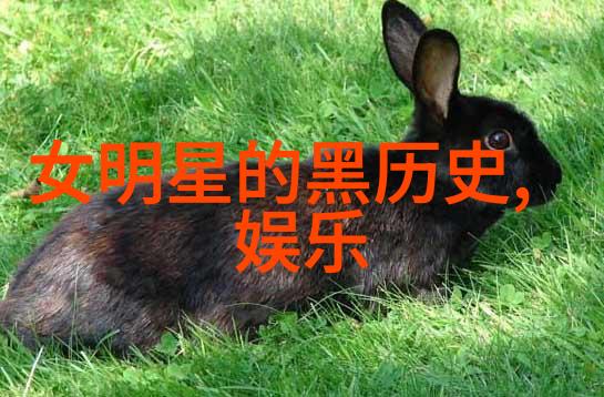 时光与梦想的交响曲李斯丹妮的艺术旅程