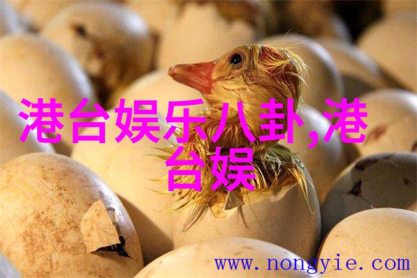 王牌对王牌97版天龙八部剧组重聚贾玲成为新版王语嫣高声对战李若彤EXO综艺盛名远播两位女星的激烈较量