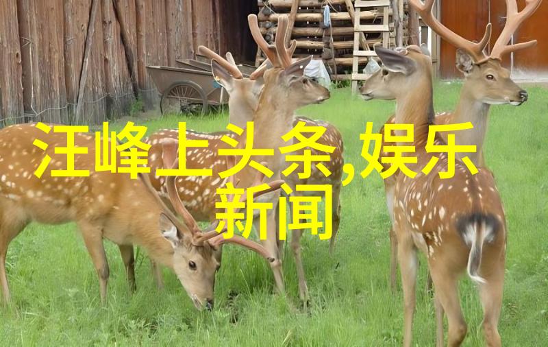 音乐时代画卷从古至今1000首不仅仅是精选而是一段历史