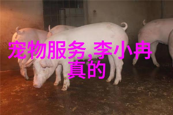 幕后英雄开心麻花综艺技术团队