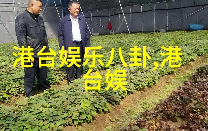 夜幕下的欢声笑语探秘城市娱乐场所的魅力