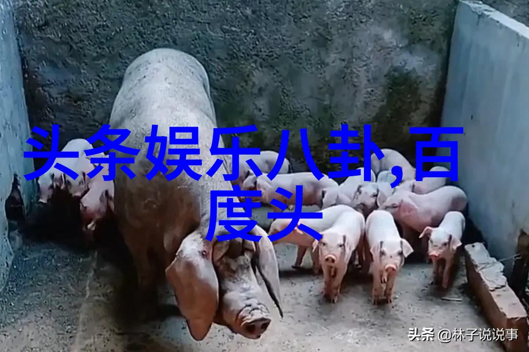 动物世界西瓜影视首映周冬雨以古灵精怪少女打破常规人设