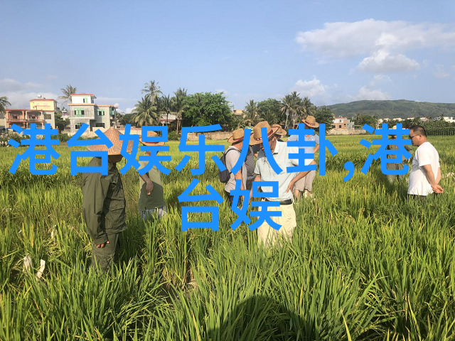主题我遇见的那个神秘电话号码02319