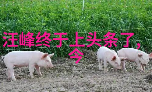 视觉共鸣如何使用图片和AI让你的关系更加紧密