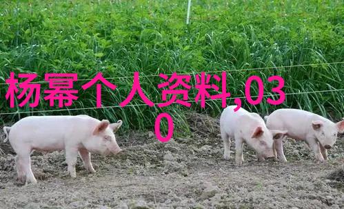 如何在社会中利用开心娱乐app下载计算安全期和排卵期