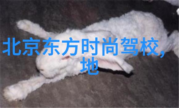 时尚火锅店装修设计现代简约风格的热辣空间
