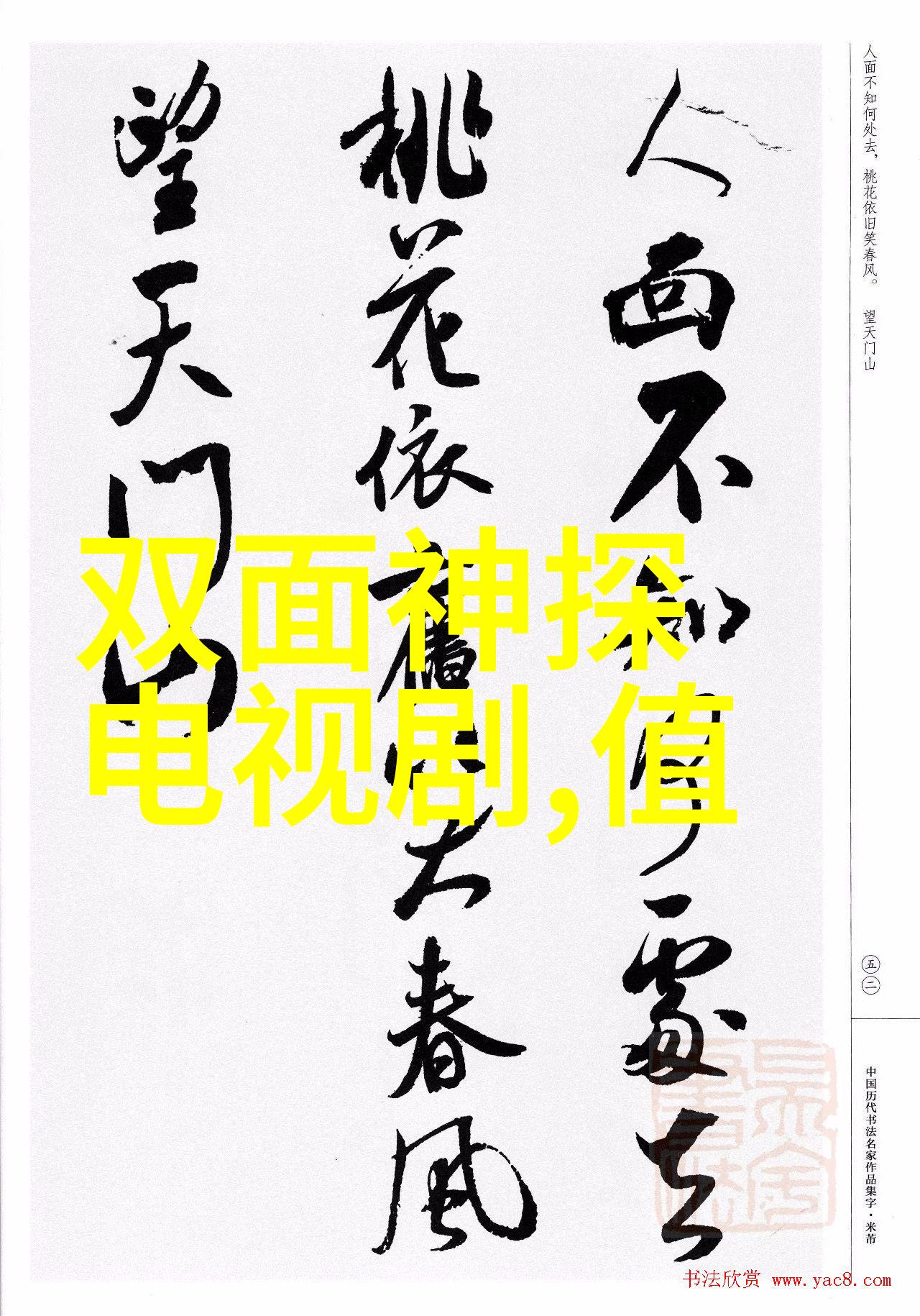 温婉光采捕捉美丽瞬间的艺术摄影