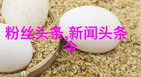 星辉娱乐星光闪耀的娱乐盛宴