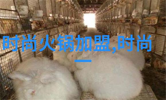 疫情后台湾的旅游业恢复情况如何