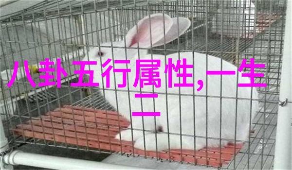 个人写真去哪家拍我去尝试了几个摄影工作室的服务