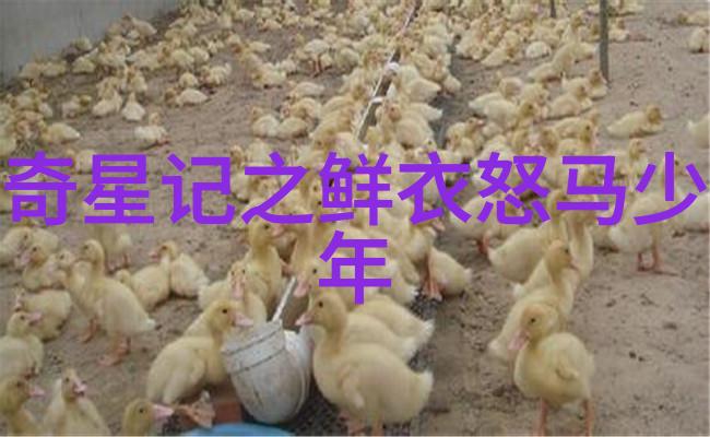第一次的包车之旅爸爸的开心安排