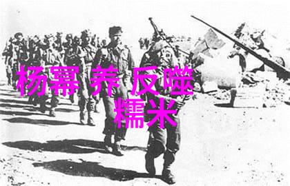 星级嘉宾齐聚一堂哪些精彩瞬间将成为历史