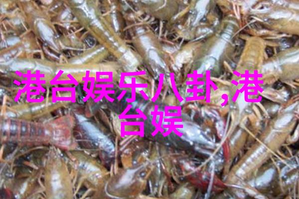 舞动屏幕点亮心灵评选最佳MV配合的2022年最火网络歌曲单