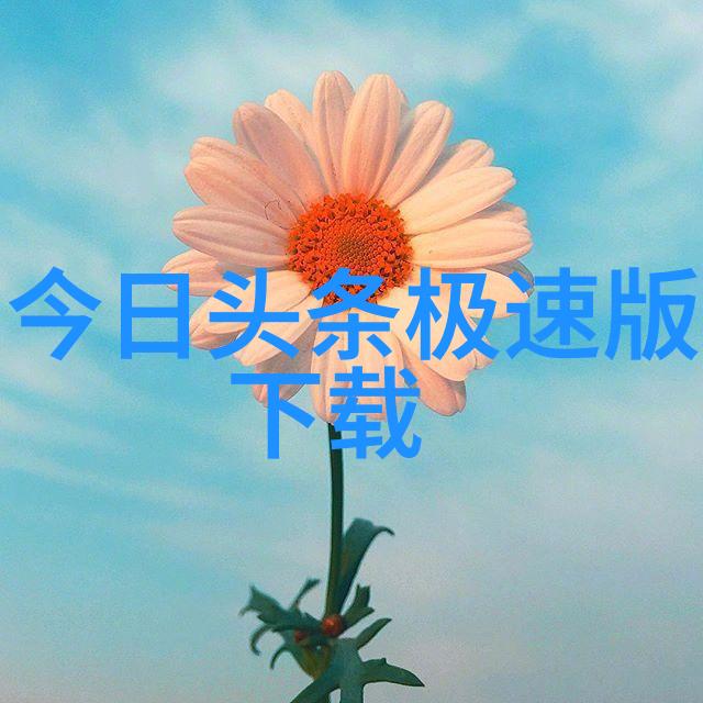 凤凰网的艺术时尚盛宴名流大咖齐聚一场娱乐极品的美食派对