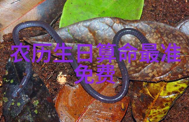 赵英俊逃离双十一回到明天数据驱动爱情珠宝收官剧情走向引众人猜测