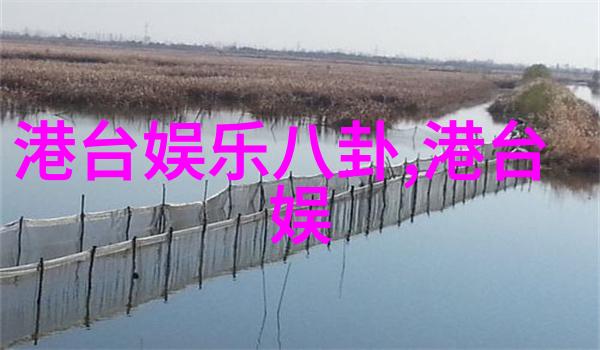 天文观测-星际时钟揭秘12星座时间的奥秘