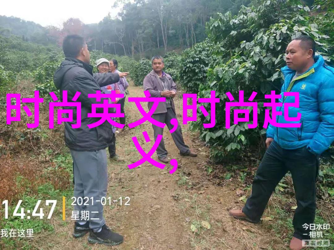 星辰影视银河系幕后的光与影