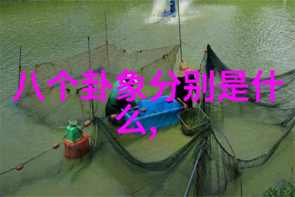 主题我眼中的汤加丽写真里的她
