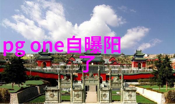 徐娇的人生密码追逐梦想与坚持自我