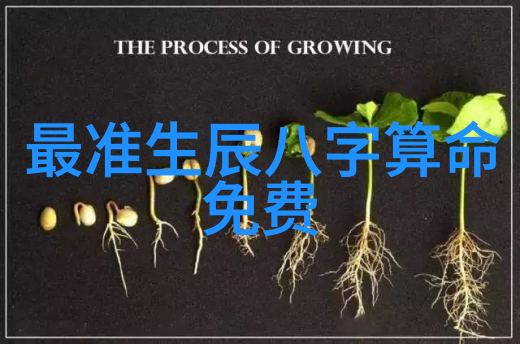 七七影视大全我眼中的电影宝库探秘七七影视大全