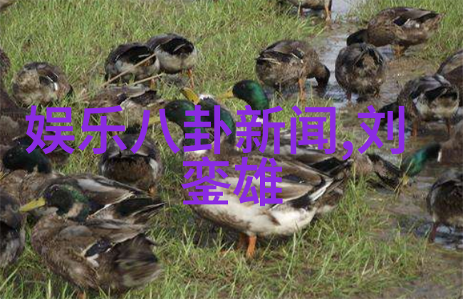 性感美女写真我亲眼见证的那些撩人心魄的瞬间