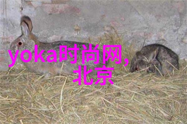 抖音最火音乐排行榜前十 - 热舞回潮探秘抖音上最流行的十首音乐