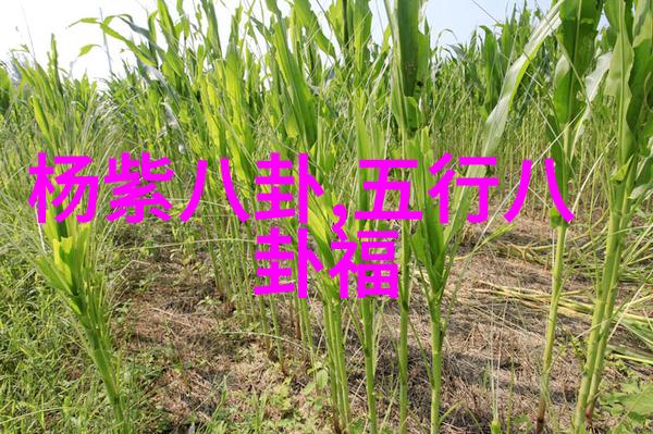 小学生活中不可或缺的三首欢快旋律以及它们带来的积极影响