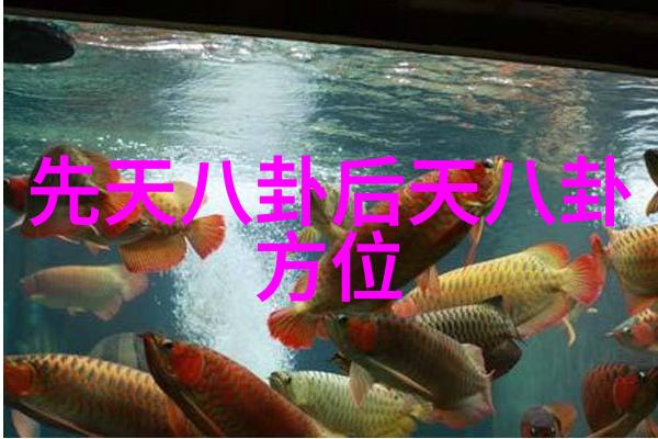 国外b站直播app远方的星光与近处的尘埃