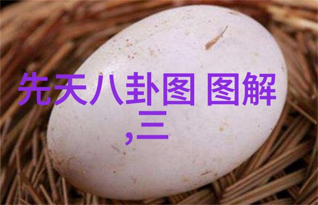后天八卦傅园慧的网红之旅从洪荒少女到表情包风云