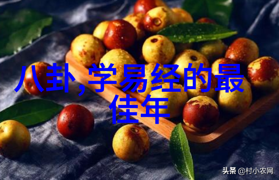 庆余年电视剧探索历史与现实的交织之谜