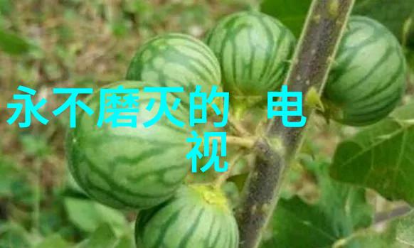 经典成熟伤感霸气的句子-岁月沉淀回味那些让人心动的经典言语