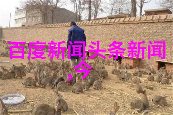 绮丽的语韵探索朗诵背景音乐的艺术魅力
